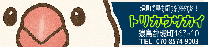 トリカウサカイ